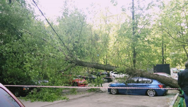 В Москве ураган!