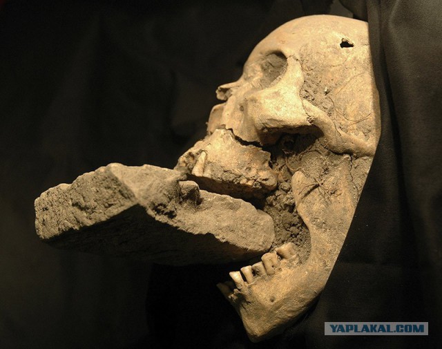 25 самых удивительных в истории археологических находок