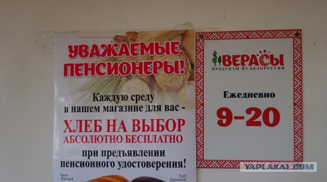 Предприниматель из Калуги решила раздавать хлеб бесплатно и пожалела об этом