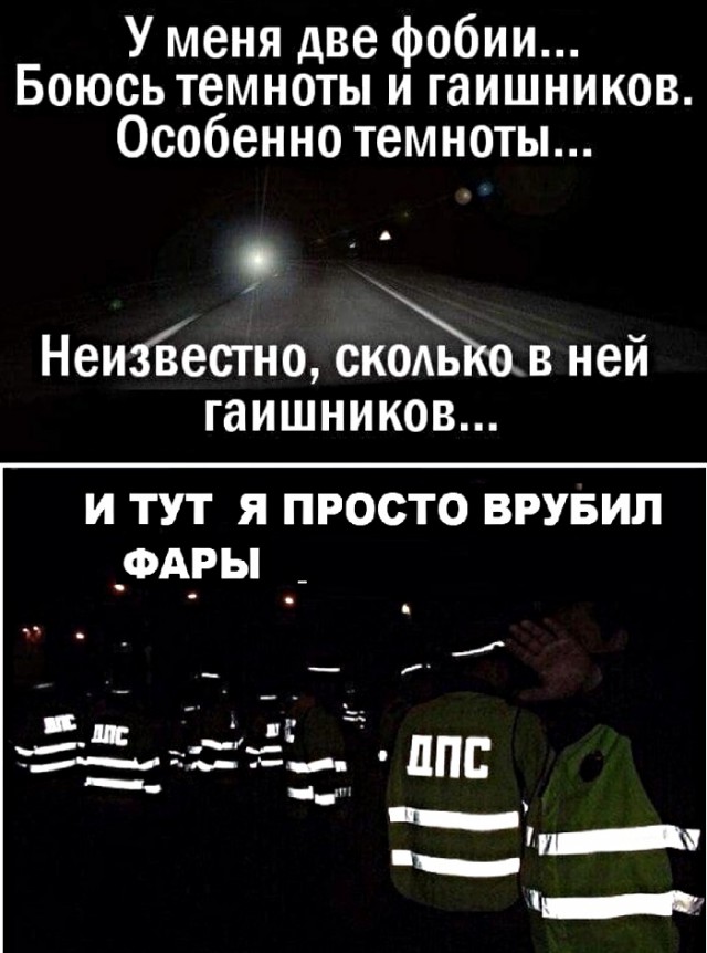 13153331.jpg