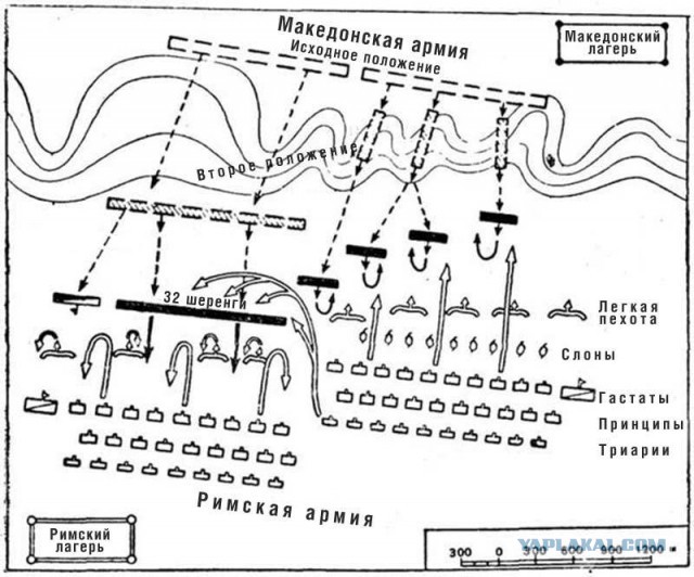 Фаланга