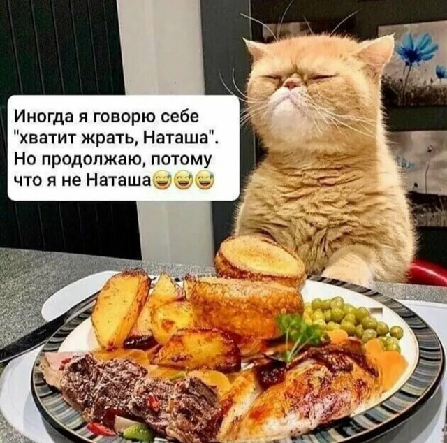 Опрос: почти 40% россиян готовы за один раз съесть полкило шашлыка
