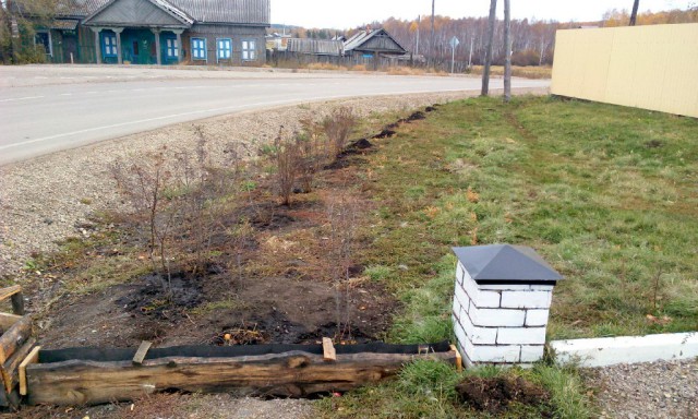 Благоустройство придомовой территории у родителей