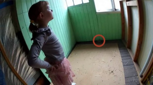 Девочка нашла в доме тайную комнату, а за её дверью всю семью ждал ещё больший сюрприз