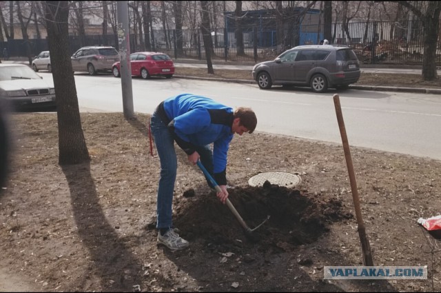 Мой метод борьбы с парковкой на газоне