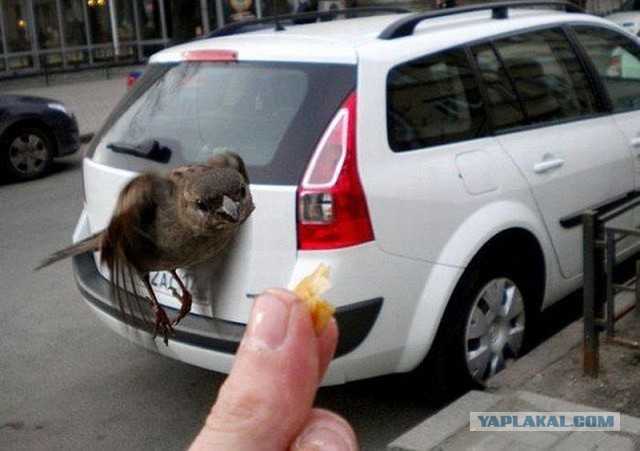 Фото сделанное в нужный момент