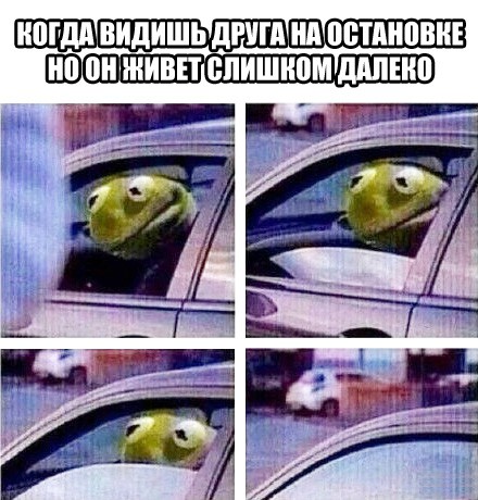 5151441.jpg