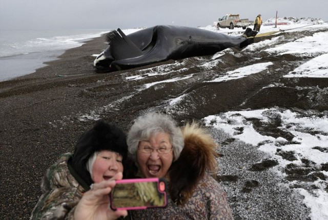 Притащил кита на берег