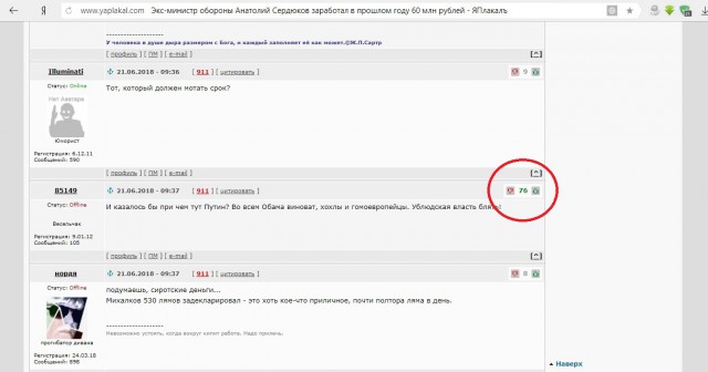 Экс-министр обороны Анатолий Сердюков заработал в прошлом году 60 млн рублей