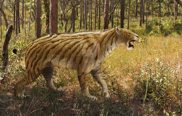 Ксеносмил: Древний кот размером с медведя охотился с особой жестокостью