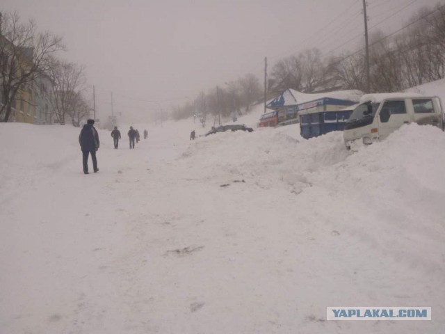 Весна на Камчатке