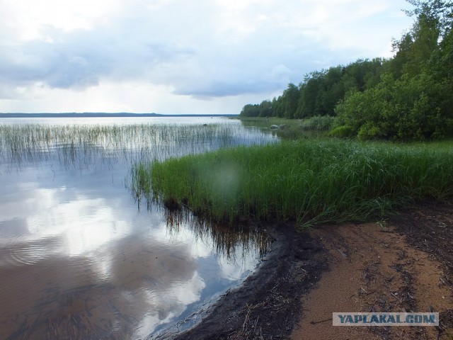 Карелия. Сплав по реке Шуя.