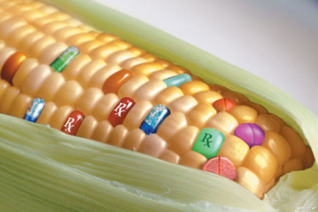 7 мифов о ГМО глазами умных людей