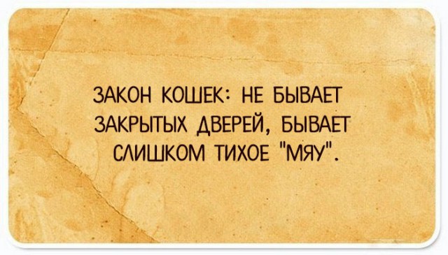 35 юмористических открыток с философскими рассуждениями о жизни