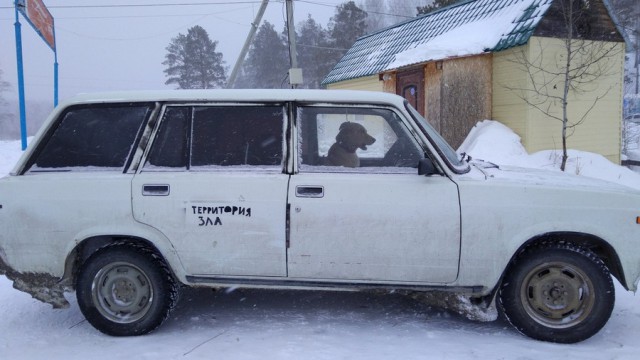 Подборка интересных и веселых картинок