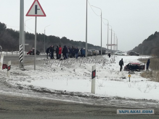 Зад отдельно, морда отдельно, ДТП