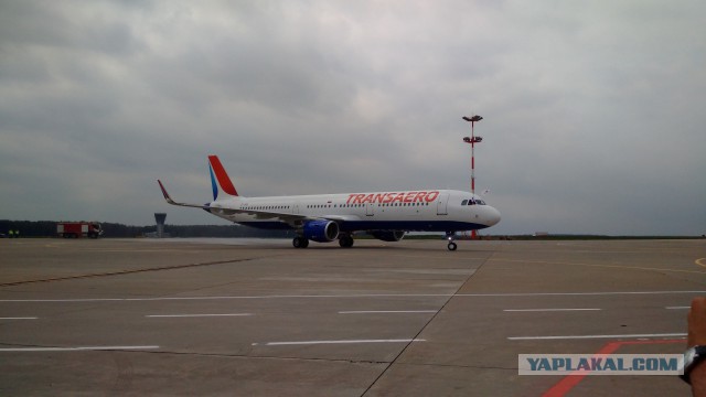 Прилет новенького Airbus 321 во Внуково