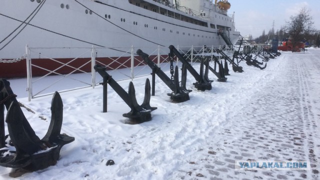 Поездка в Калининград