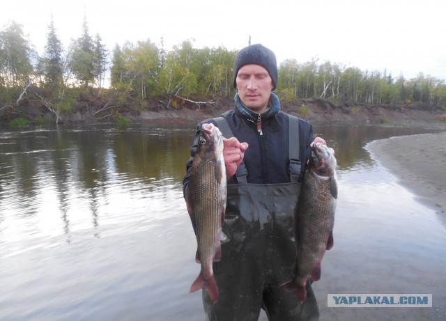 Рыбалка на Приполярном Урале