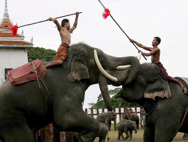 Конкистадоры в Камбодже: Блас Руис и ронины против слонов и кхмеров