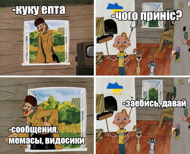 9738571.jpg