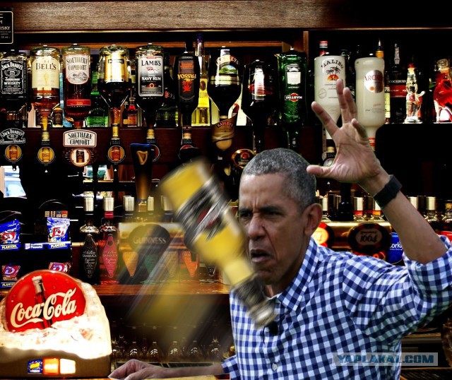Фотожаба "Пикничок с Обамой"