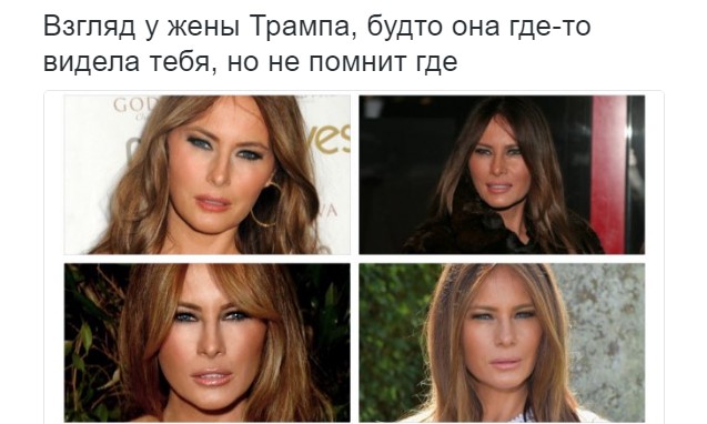 8749971.jpg