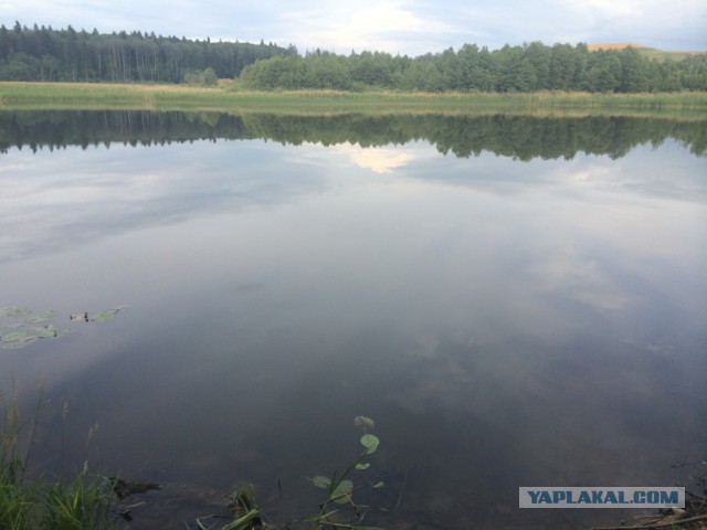 Первая рыбалка в этом году.