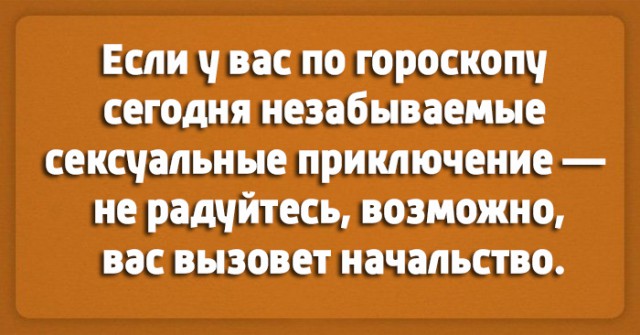 9513281.jpg