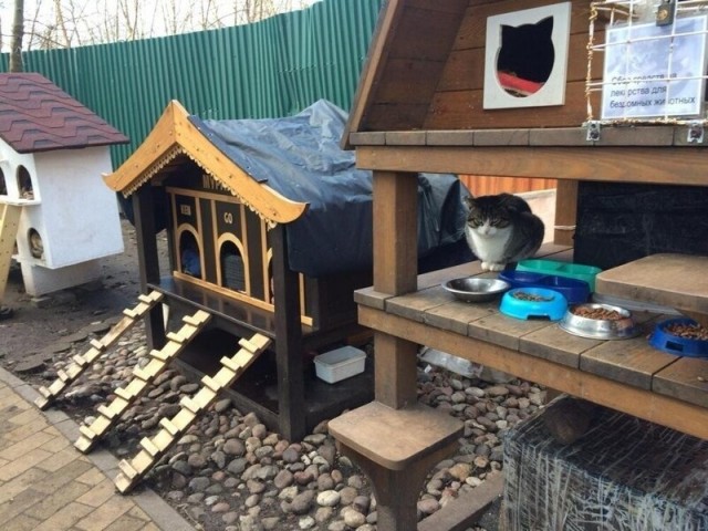 В Свиблово оборудовали домики для котиков