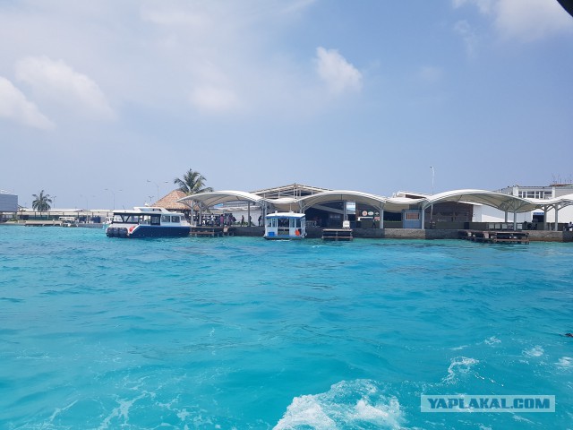Бюджетный дайвинг на Мальдивах, остров Маафуши