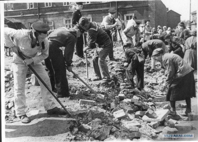 Блокадный Ленинград 1943 год