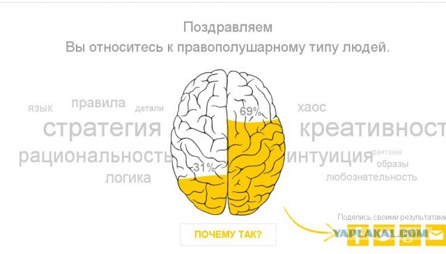 Тест - Левое или Правое.