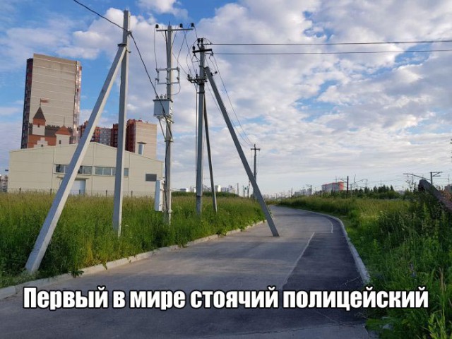 9995681.jpg