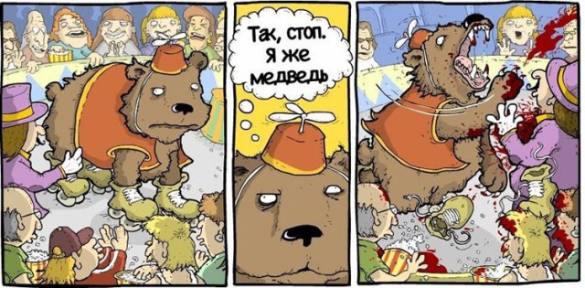 Нападение медведя на дрессировщика в Волгоградской области