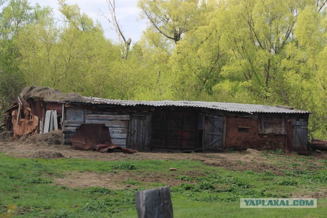 Оренбургская глубинка