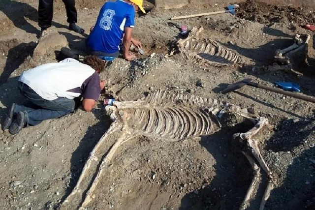 Пара из бронзового века, Казахстан. Мумии и скелеты 41