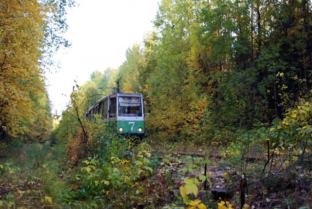 Лесной (скорее таёжный) трамвайчик