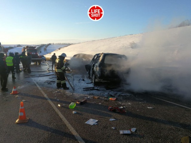 Шесть человек погибли в ДТП в Воронежской области