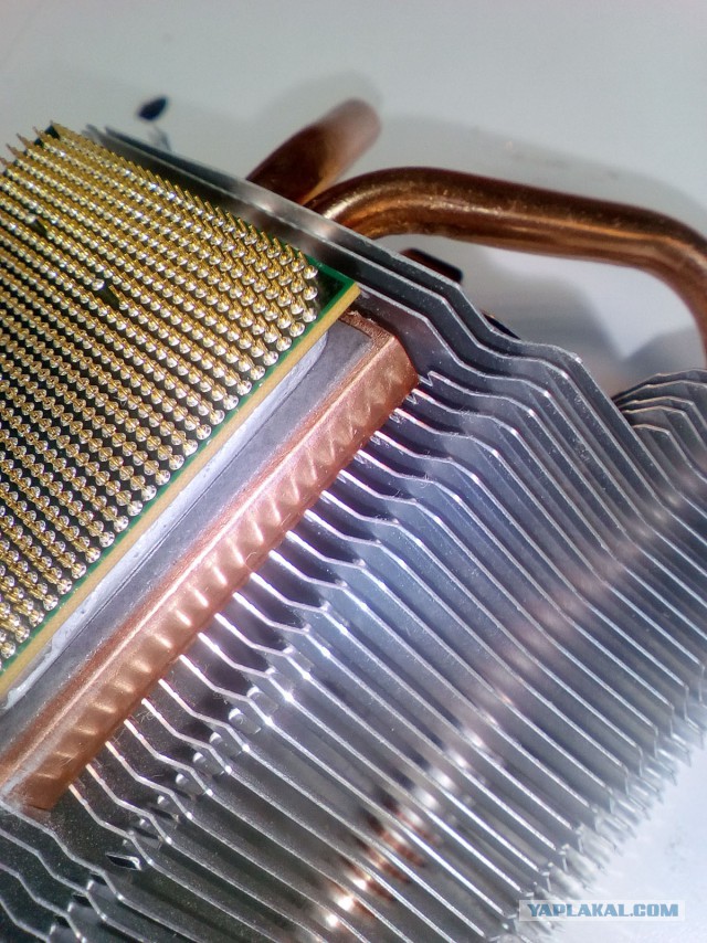 Что это такое между процессором и радиатором?