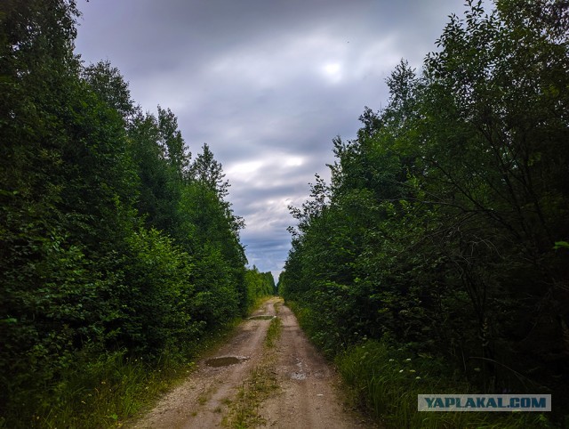 Путешествие в заброшенный поселок Совза