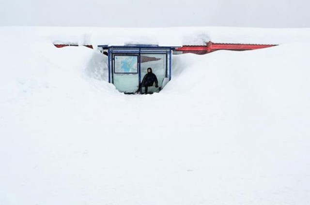 Фото, которые можно было сделать только зимой