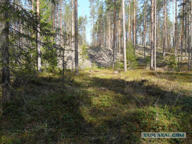 Река Уксунйоки (Укса). Карелия. Сплав по большой воде. Фотоотчет