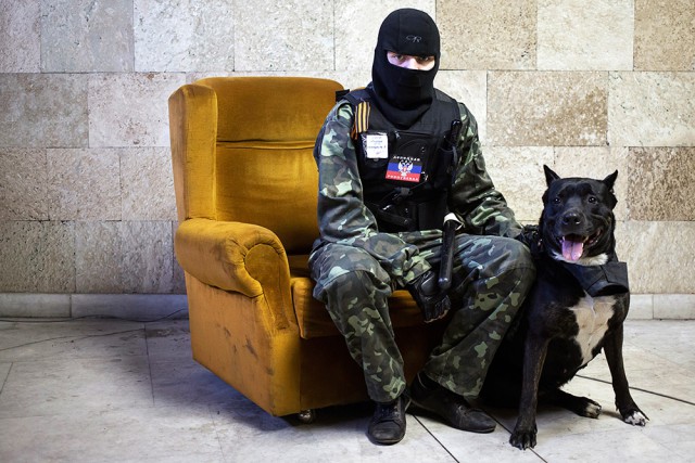 Кошки и собаки на войне в Донбассе