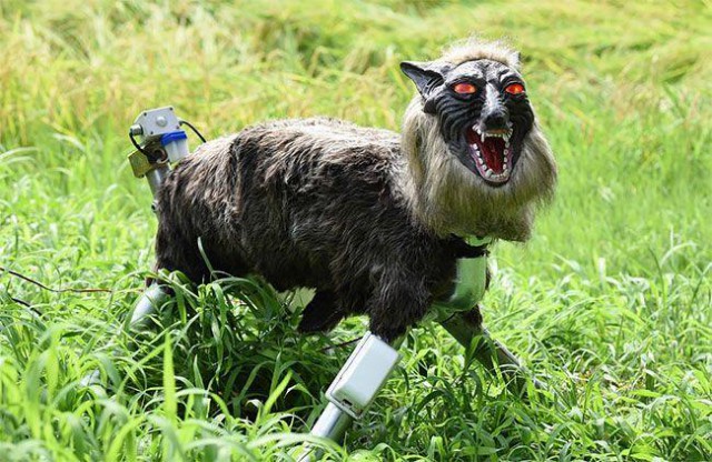 Японцы создали робота для отпугивания диких животных