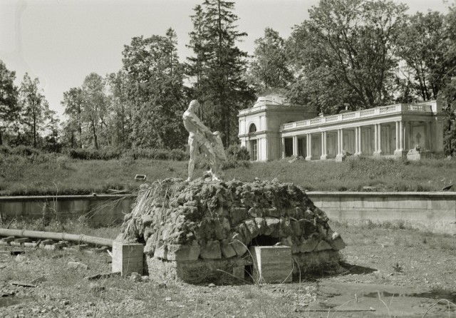 Интересные и редкие фотографии