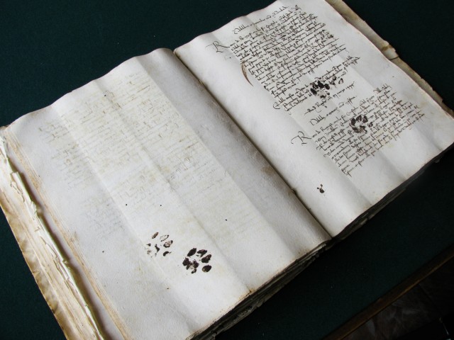 «Будь проклят этот кот, что помочился на мою книгу!» Запись в манускрипте, сделанная в 1420 году