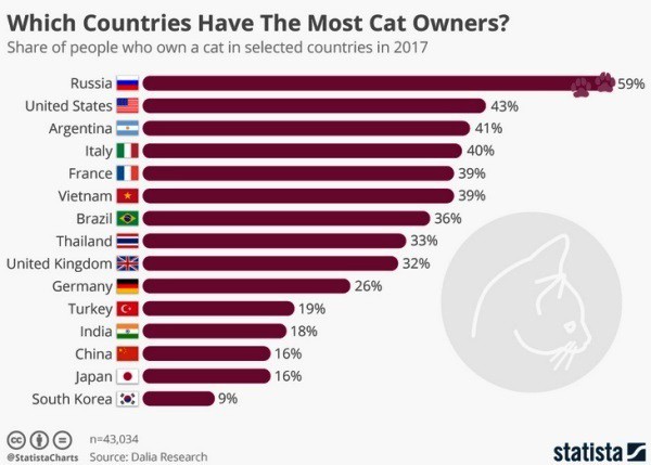 Россию сочли самой кошачьей страной мира