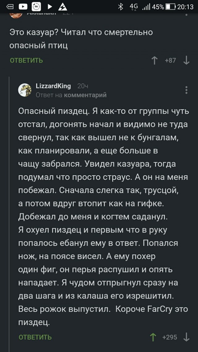 Южный казуар - птица-красавица, способная убить человека одной левой