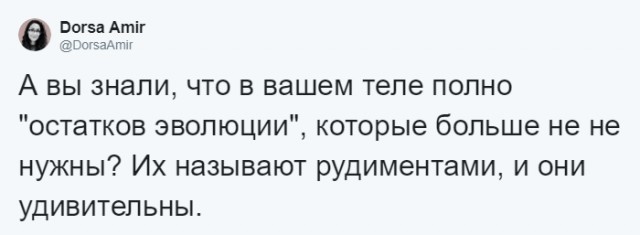 Антрополог рассказала, какие органы в человеческом теле лишние и для чего они были нужны раньше